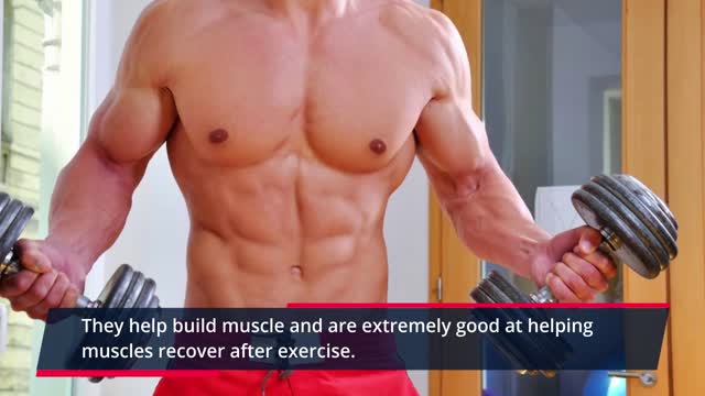 How To Build Muscle And Lose Fat At The Same Time