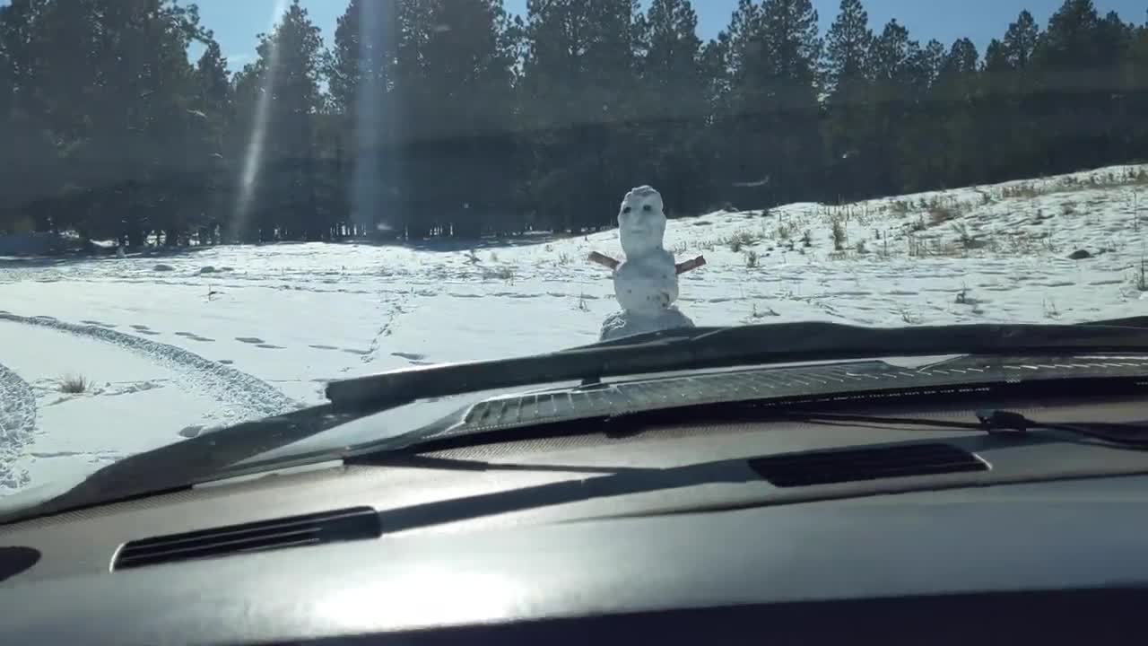 I ran over a man!