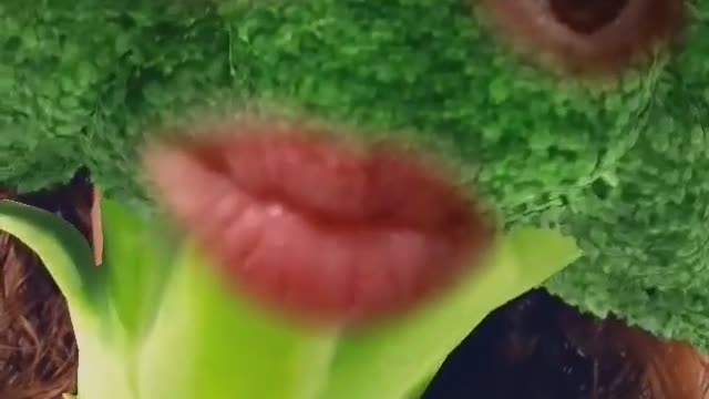 Green Broccoli
