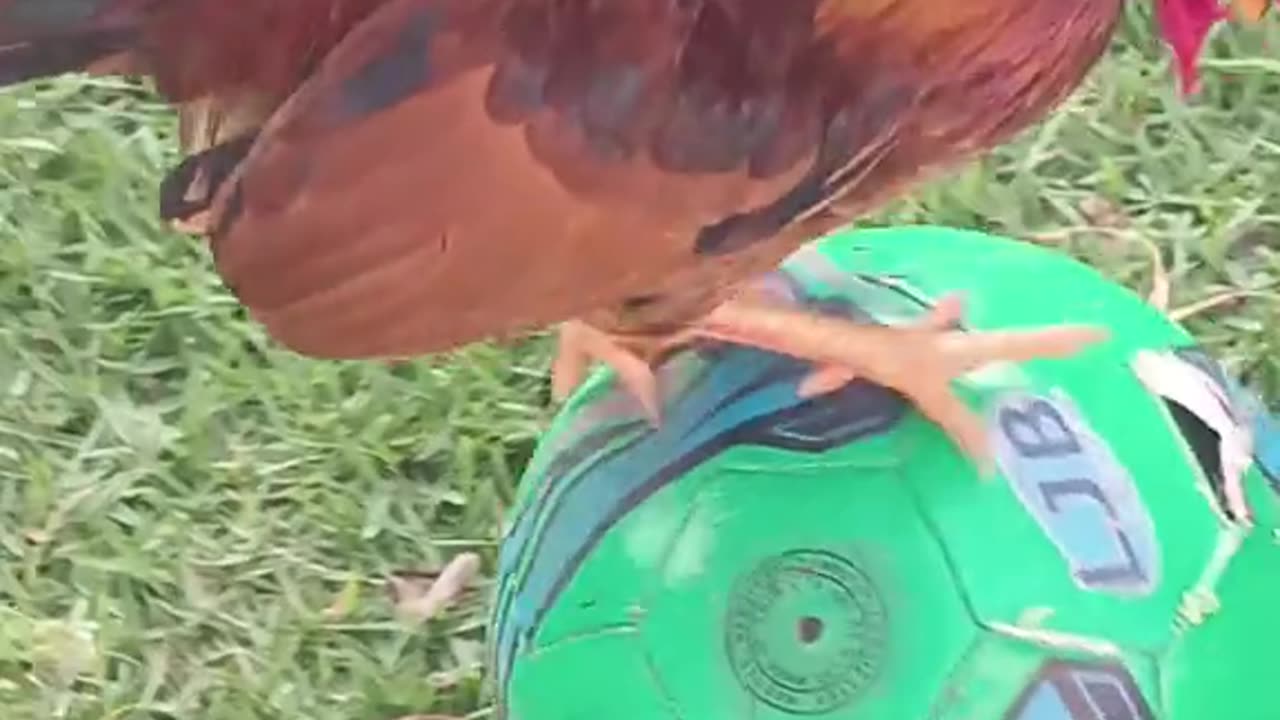 Mad soccer skills