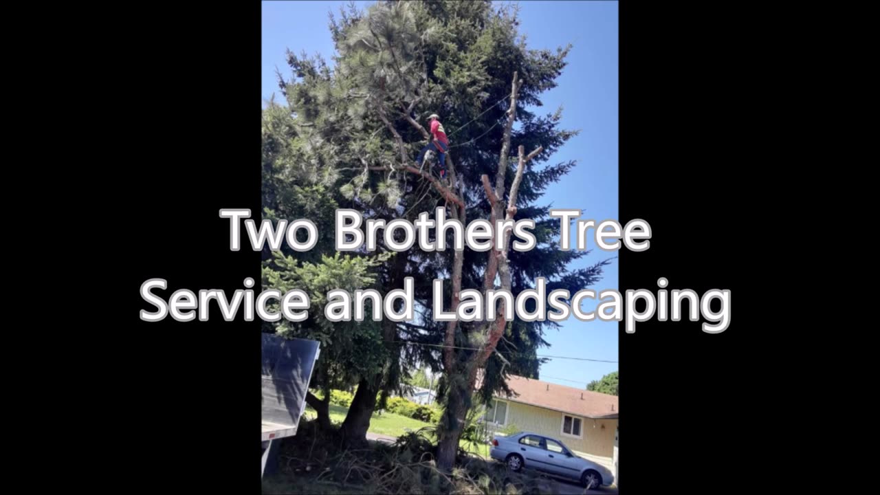 Two Brothers Tree Service and Landscaping