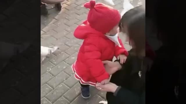 VIRAL Video.. child eating from pigeon - I Can't Believe On My Eyes