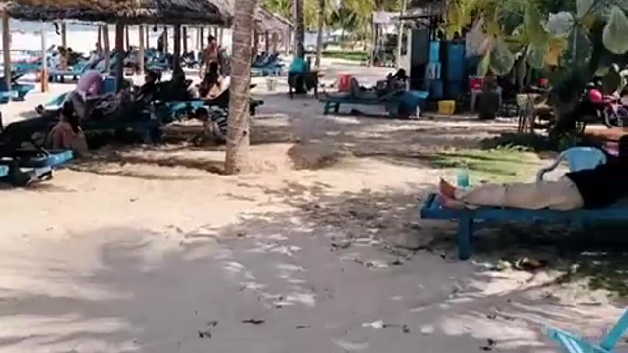 fatty demon pig - 2024 - August 13th part 003 - Danang