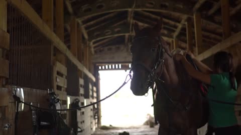 Woman rider puts a saddle on her horse and prepare animal for dressage