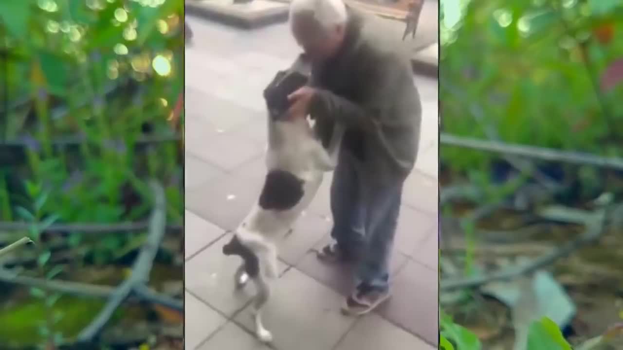 dog's reaction when its owner entered after 2 years lost