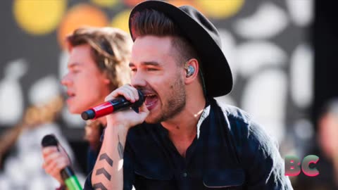 Liam Payne, former One Direction member, dies at 31 in Argentina hotel fall