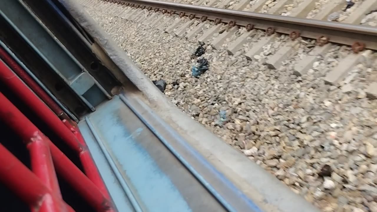 Train video