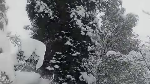 Somewhere in canada
