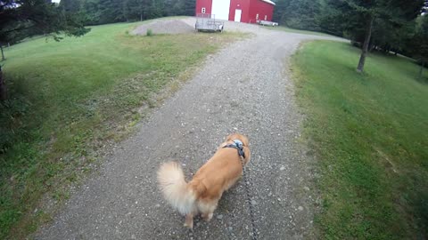 August 16th, 63º Flynn takes me South, does the deed.