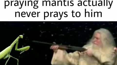 Hilarious memes #shorts