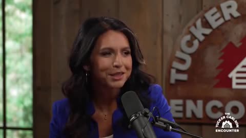 Tucker Carlson Episode 84 - Tucker Carlson: Ep. 84 Tulsi Gabbard could be the next vice president.