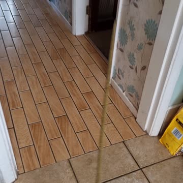 Don't mind me just watering the sofa