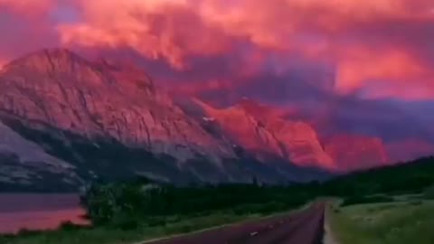 Red sky and green trees, with a beloved pet, walking on the road is a kind of enjoyment.