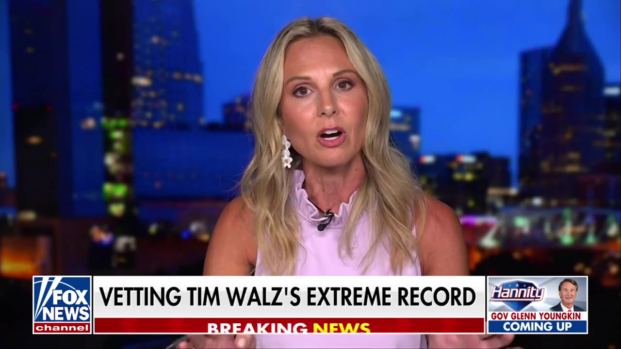 The Harris-Walz ticket is running on a 'radical riptide': Elisabeth Hasselbeck