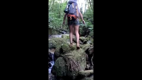 Jungle camping 🏕️🥾🧚#shorts#jungle#shortsvideo