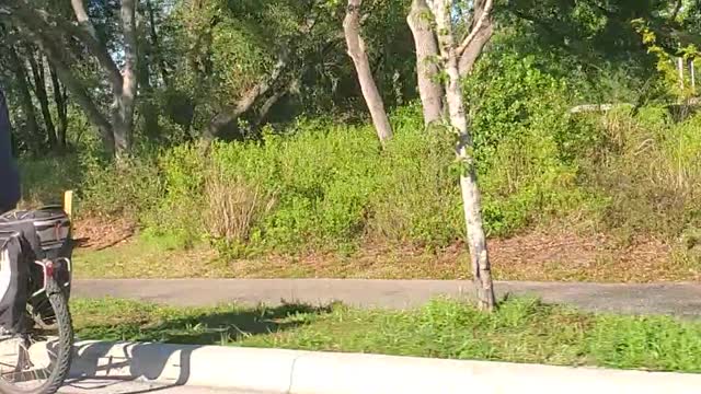 Carole Baskin Biking In Tampa