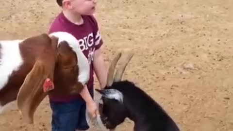 baby criying for animal