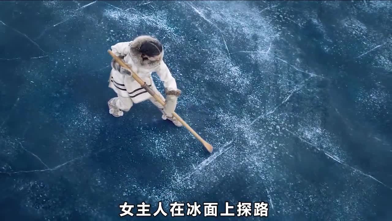 Movie Commentary "The Call of the Wild" (Episode 1/3) #Homedou Theater