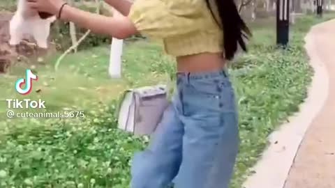 FUNNY ANIMAL #shorts #funny #fun #funnyvideo #tiktok #tiktokvideo