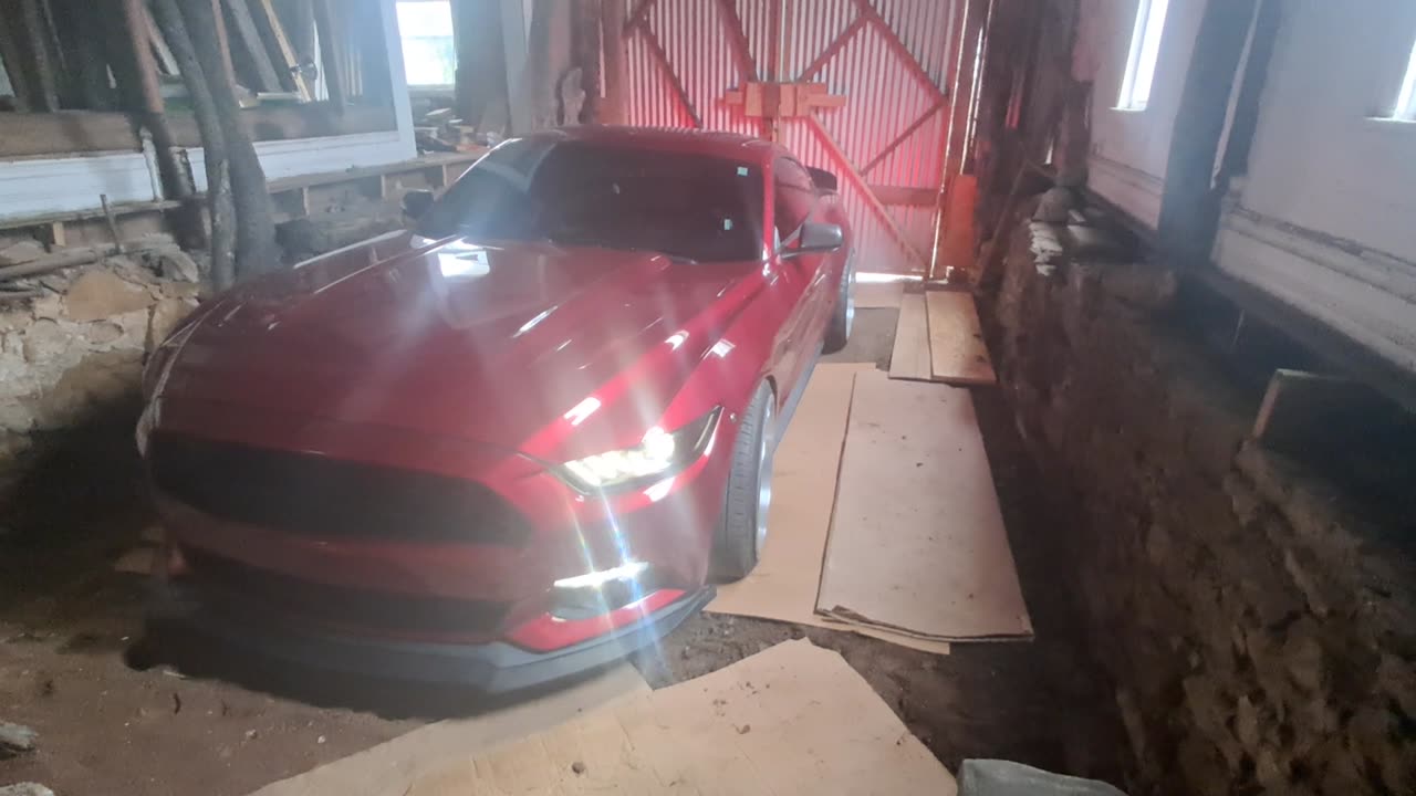 2017 MUSTANG GT START UP and NEW SHIFT KNOB!!!!!