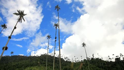 Clouds over nature, low view