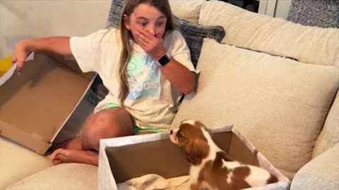 New Puppy Surprise Compilation 2024 🐶