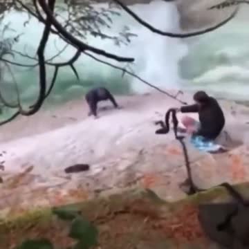 Sikh men used their turbans to rescue a man who fell down the Golden Ears Lower falls