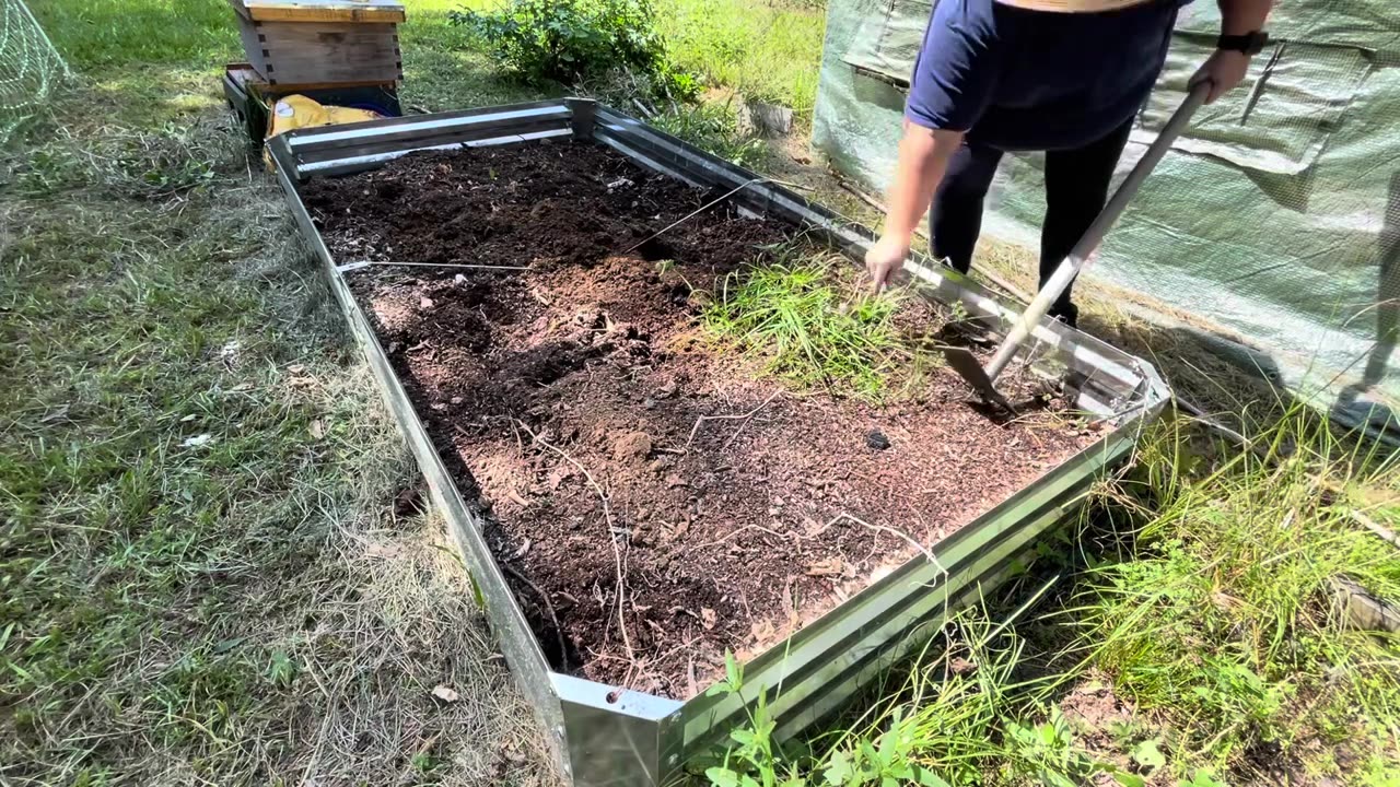 Time to get the Crimson Coop raised beds ready for the Fall Garden!