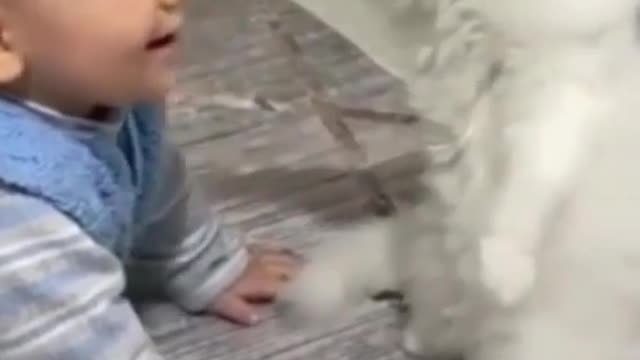 ☺️☺️☺️Cute cat and baby fun😊😊😊