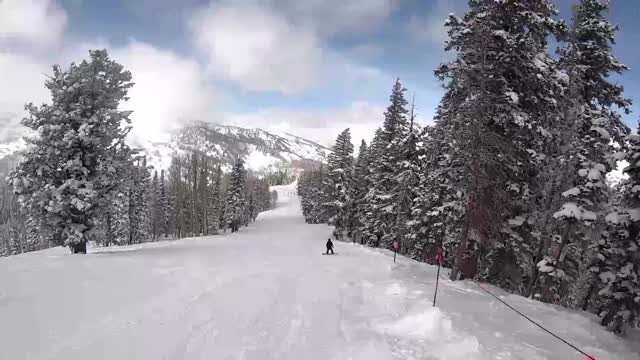 Fresh snow in Utah