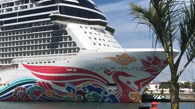 Norwegian Joy