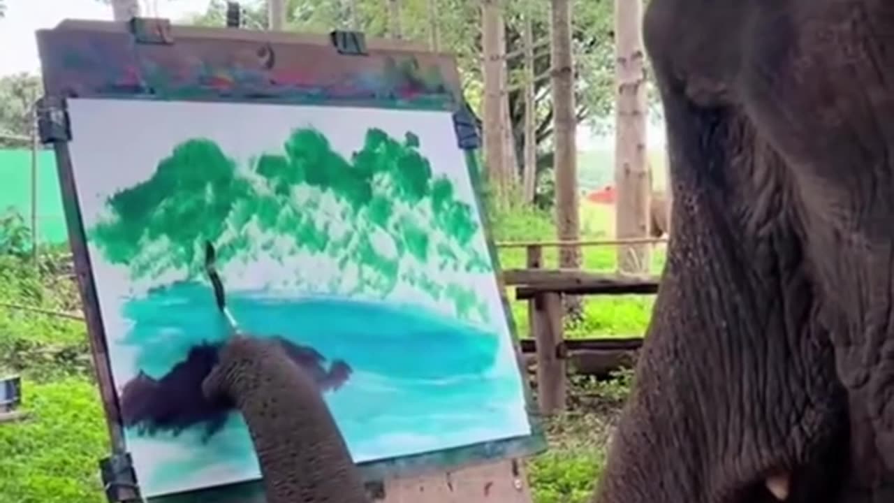 This zoo elephant is often ostracized by his own kind
