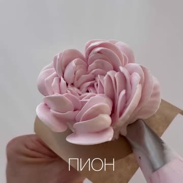 Туториал по отсадке одного из самых красивых цветов — пиона!