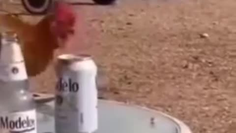 Power of alcohol