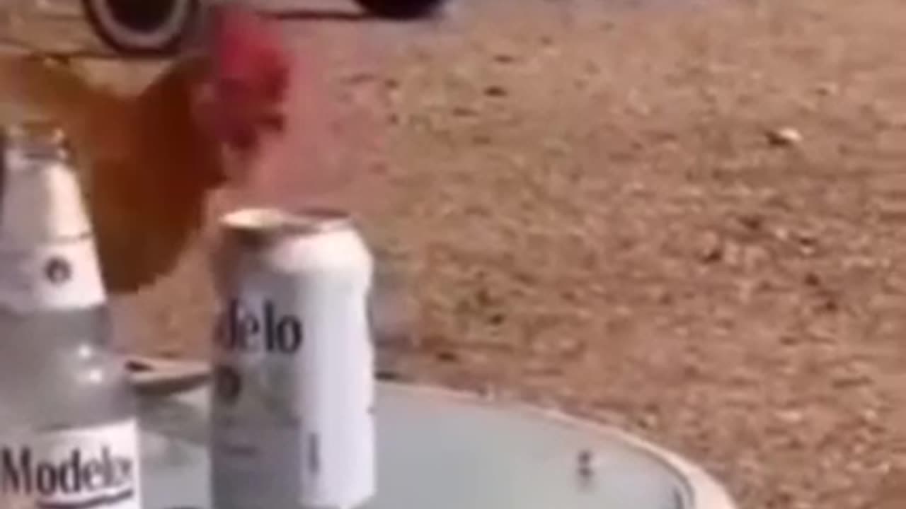 Power of alcohol