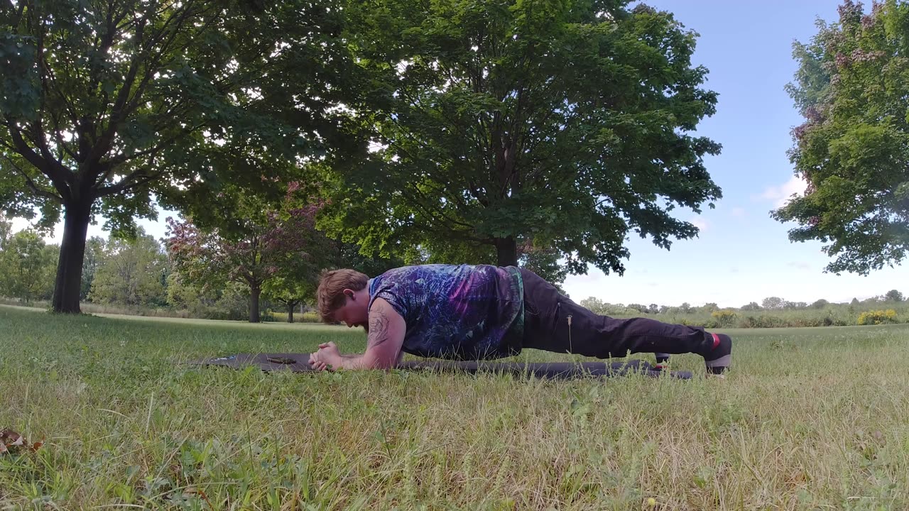 Planks for Progress: (Day 22) Improving Core Strength [Sturgill Simpson 'Mercury in Retrograde]