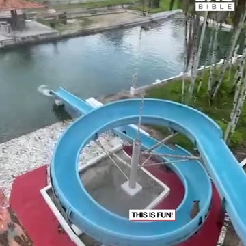 Dog absolutely loves waterslide