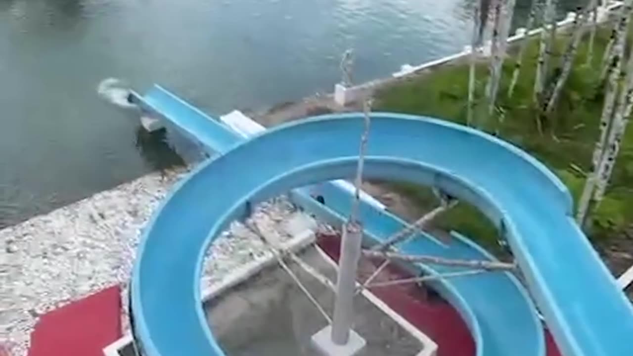 Dog absolutely loves waterslide