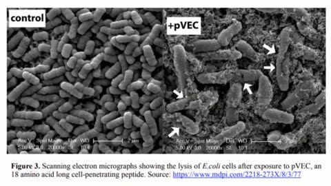 HUNGERGAMES: Virus, Bacteriophage & Single "Virus" Genomics