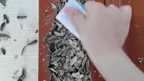 how to repair drywall holes at home