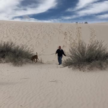 Face Plant at White Sands National Monument