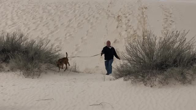 Face Plant at White Sands National Monument