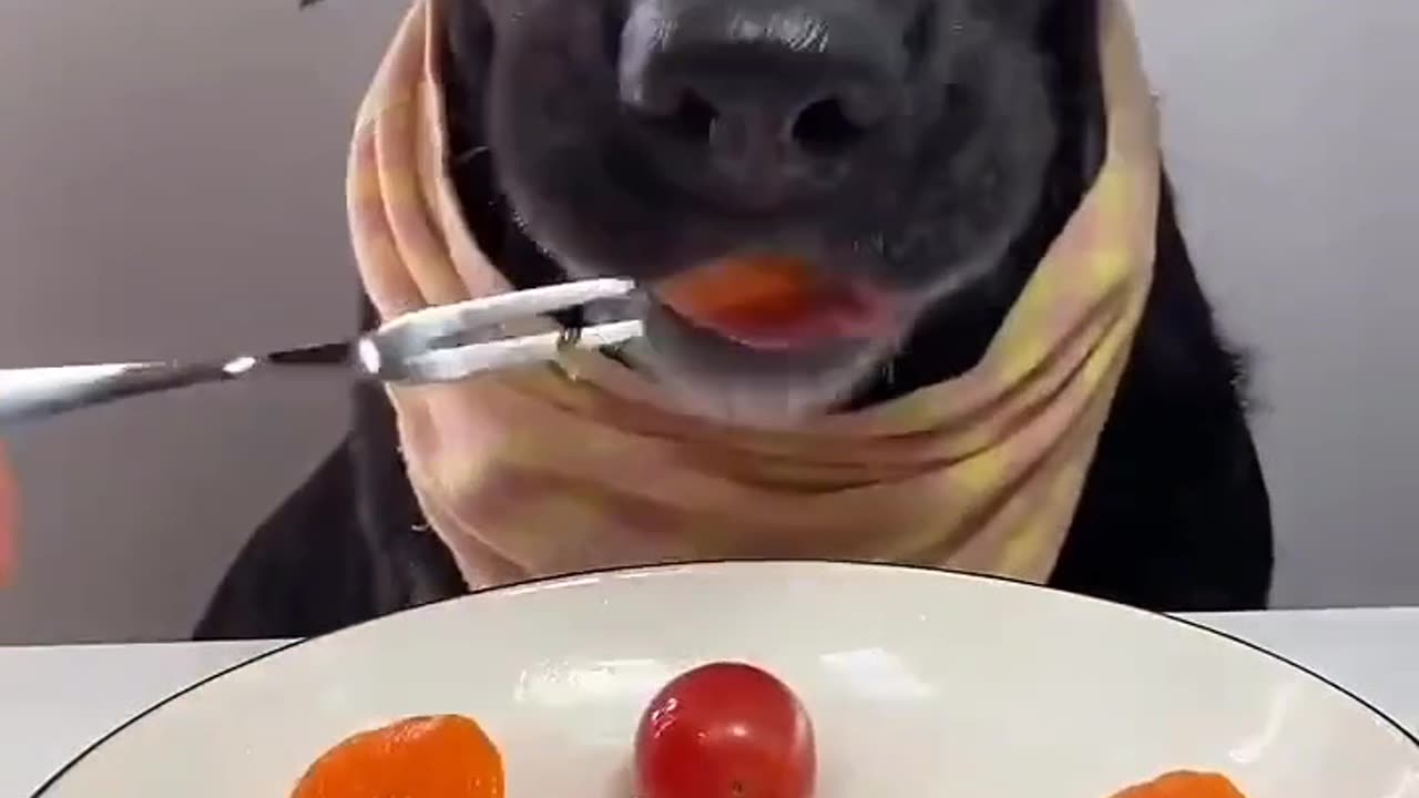 Breakfast on camera