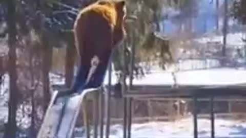 Free Stock Video For Everyone No Money - Bear Enjoy Sliding Ride