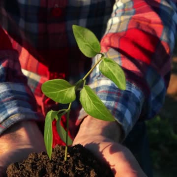 074 In numerology, Life Path 66 slash 3 amplifies the energy of expression,