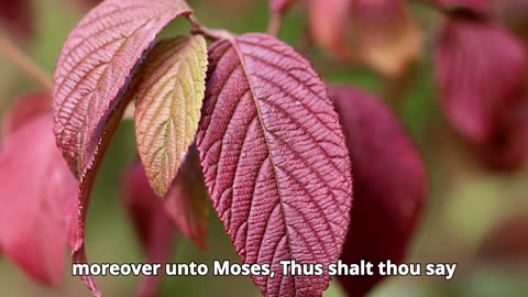 Exodus Chapter 3