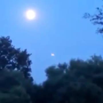 These creatures have been seen between end of July and August of this year according to