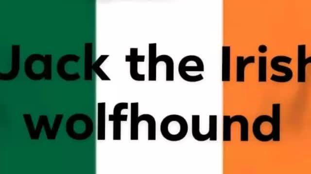 Old black car by jack the Irish wolfhound