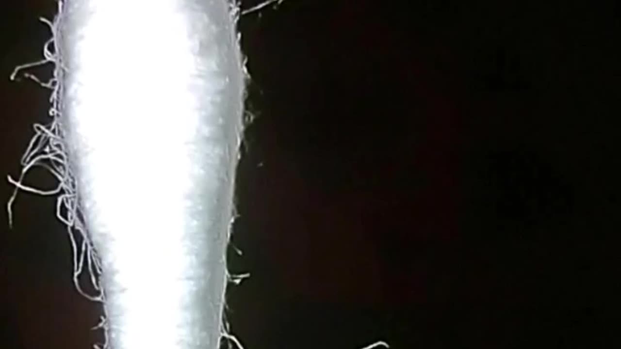 Q-Tips with Nanofibers -ALIVE