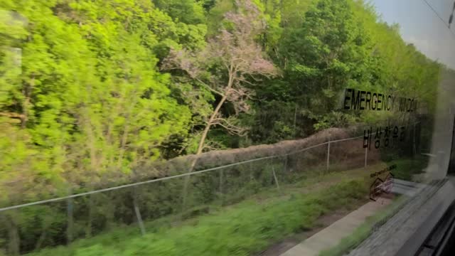 Feel the speed of the train at 300 km/h(186.4 mi/h).
